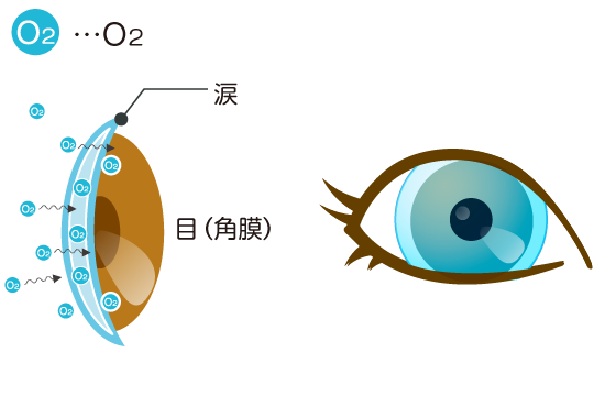 ソフトコンタクトレンズ（SCL）とは？ 