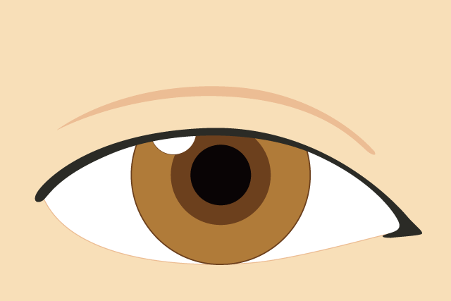 眼瞼下垂（がんけんかすい）